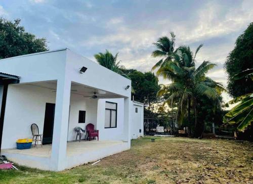 Aed väljaspool majutusasutust Minimalist House In Chitre