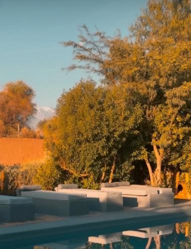 a view of a pool with trees in the background at Casa Luna in San Pedro de Atacama
