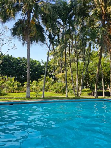 a swimming pool with palm trees in the background at Apartamento Compacto muy cerca del Irtra in Ajaxá
