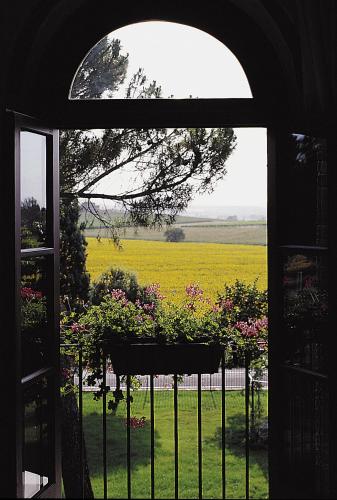 an open window with a view of a field of flowers at Agriturismo Podere La Rocca in Abbadia di Montepulciano