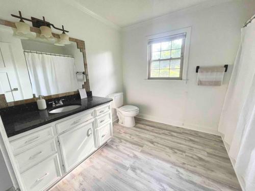 a white bathroom with a sink and a toilet at New Modern Lux Large Home 10MIN Downtown Sleeps 12 in Taylors