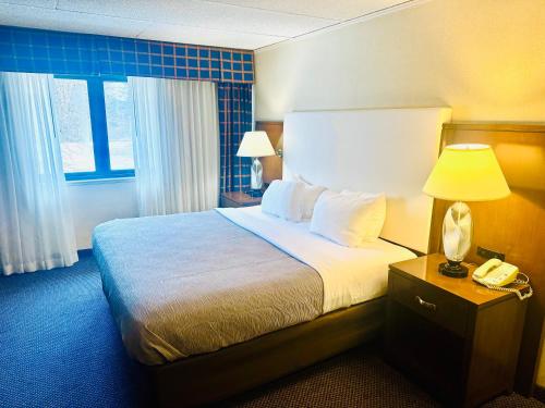Postel nebo postele na pokoji v ubytování Quality Inn Horseheads