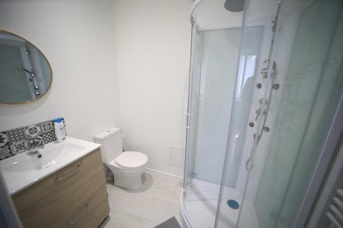 une salle de bain avec une douche, des toilettes et un lavabo dans l'établissement Paul Bert4-ancienne version, à Cambrai