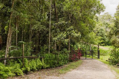 Taman di luar Secret Garden by Tiny Away