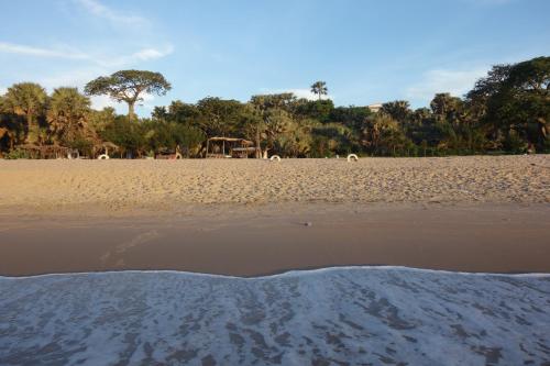 a beach with animals grazing in the distance at Casa Del Mar Apartments in Brufut