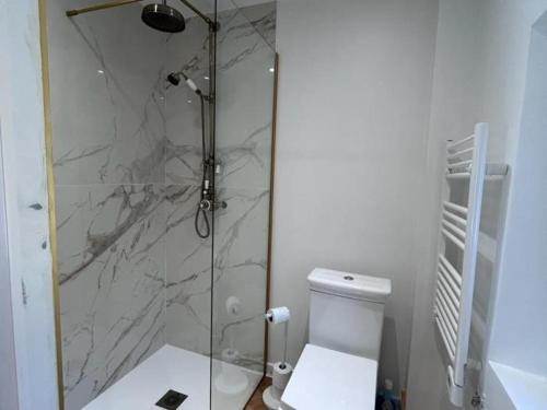 une salle de bain avec une douche en verre et des toilettes dans l'établissement Beautiful studio with AC close to the sea!, à Cannes