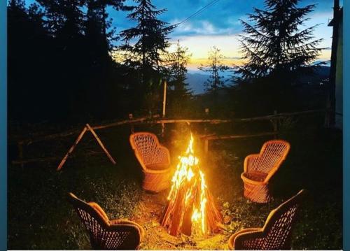 a fire pit with four chairs around it at sunset at The Raarees Mist Resort, Munnar - Nested in Nature's Lap in Munnar