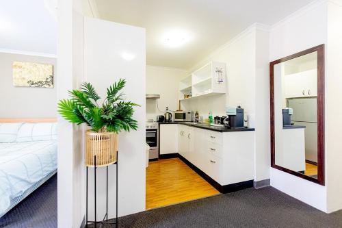 a room with a bed and a kitchen with a plant at Cozy resort with free parking in CBD in Adelaide