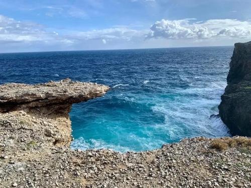 a view of the ocean from a cliff at Studio de charme à Bouillante, 100 m², vue sur mer et montagnes in Bouillante