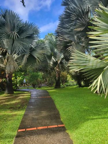 a path through a park with palm trees at Studio de charme à Bouillante, 100 m², vue sur mer et montagnes in Bouillante