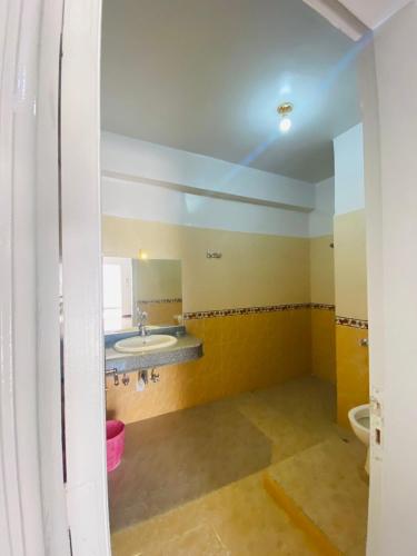 a bathroom with a sink and a mirror at Temple House Luxor in Luxor