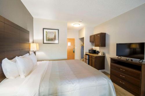 a hotel room with a bed and a flat screen tv at Quality Suites Hickory South in Hickory