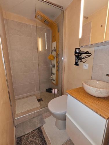 une salle de bain avec une douche, des toilettes et un lavabo dans l'établissement Studio Paris Montmorency, à Paris
