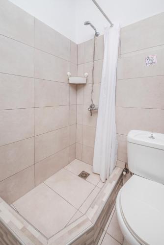 a bathroom with a shower and a toilet at Silia apartments 3 in Ampavris