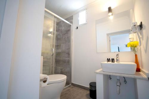 a bathroom with a toilet and a sink and a mirror at Çamlık 87 Hotel Ayvalık in Ayvalık