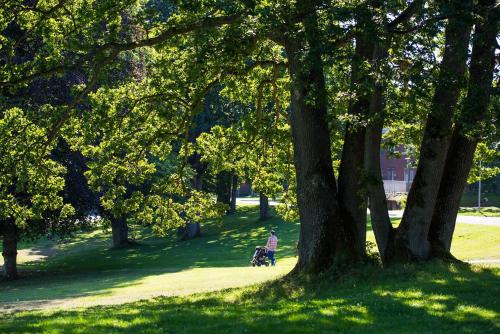 a person walking a dog in a park with trees at Hotel Hehrne Kök & Konferens in Vänersborg