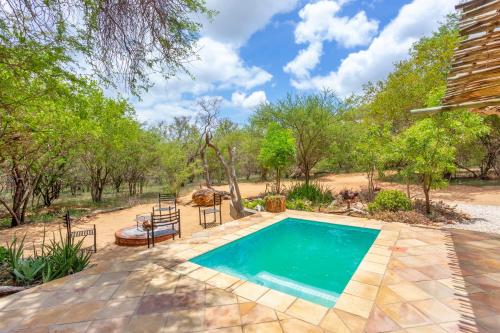 a swimming pool in a yard with trees at The Bush House in Hoedspruit