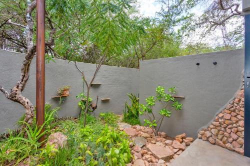 a concrete wall with plants in a garden at The Bush House in Hoedspruit