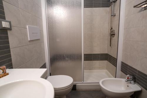 a bathroom with a shower and a toilet and a sink at Tana del Cinghiale in Tirli