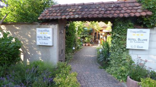 Zahrada ubytování Hotel Blume