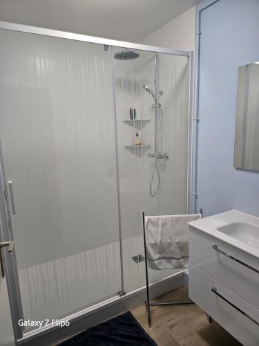 une douche avec une porte vitrée dans une salle de bain dans l'établissement Les terrasses du palais, à Vannes