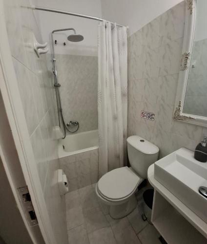 a bathroom with a toilet and a shower and a sink at Flora Rooms & Apartments in Naousa