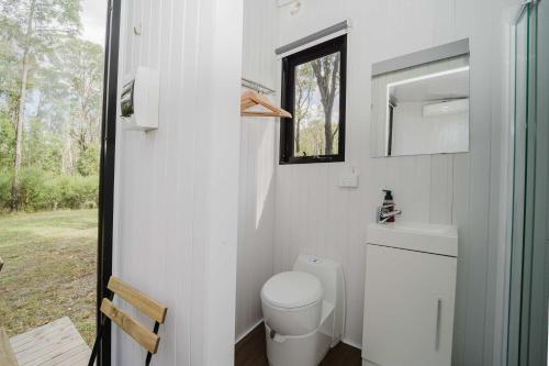 a small bathroom with a toilet and a window at Schlaraffenland 2 by Tiny Away in Chatsworth Island