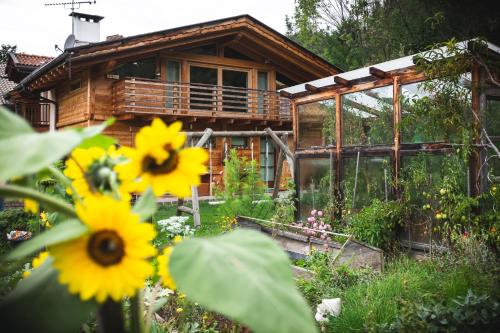Κήπος έξω από το B&B Profumi nel bosco
