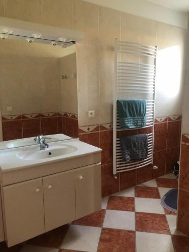 une salle de bain avec un lavabo et un miroir dans l'établissement Sunset Ridge house, à Pierrevert