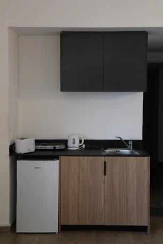 a kitchen with a sink and a white refrigerator at Sunflower Hotel Apartments in Larnaka