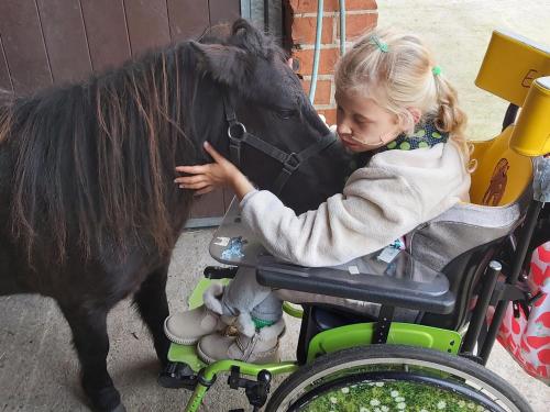 a little girl petting a small pony at Hoeve Megusta in Vlimmeren