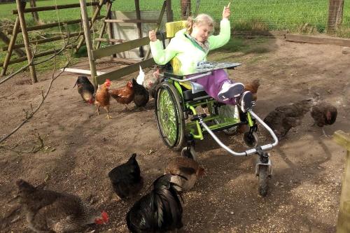 a little girl in a wheelchair feeding chickens at Hoeve Megusta in Vlimmeren