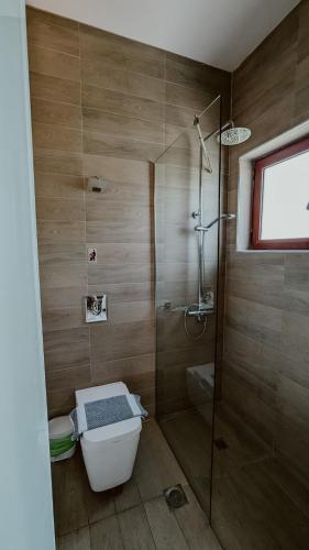 a bathroom with a shower and a toilet in it at Ariadnes Holiday Accommodation in Apidias Lakos