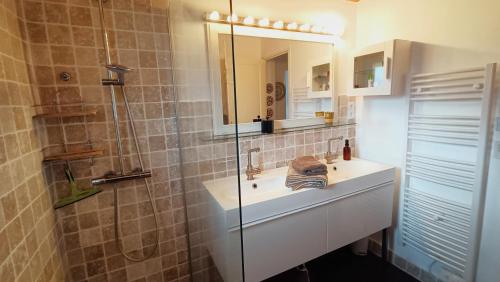un bagno con lavandino e doccia con specchio di Le Paradis de l'Ibie a Saint-Maurice-dʼIbie