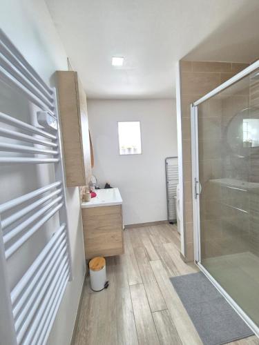 une salle de bain avec douche et lavabo dans l'établissement Lana #Clim#Terrasse, à Clermont-Ferrand