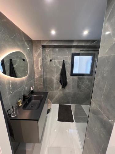 une salle de bain avec un lavabo et un miroir dans l'établissement Appartement Cannes Hyper Centre Croisette et rue antibes, à Cannes