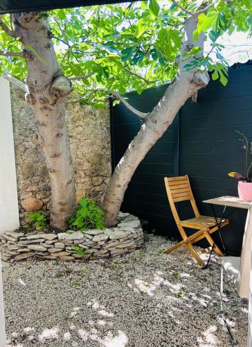 a table and a chair next to a tree at Studio avec Jardin in Balaruc-les-Bains