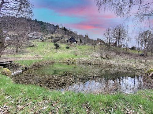a pond in a field with a house in the background at Chalet in Mittlach