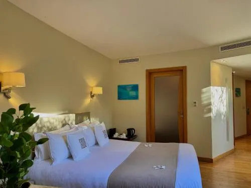 Cannes Villa St Barth photo 6