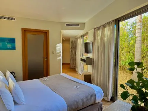 Cannes Villa St Barth photo 7