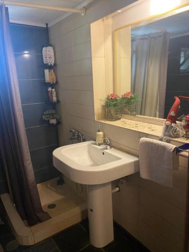 a bathroom with a sink and a mirror at D&S home oinofita in Oinófita