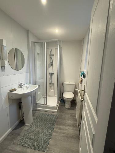 une salle de bain avec une douche, des toilettes et un lavabo dans l'établissement Aux Dix 'Jamet, à Tourville-sur-Sienne