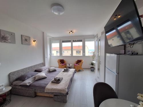 Mystic Grey Studio Apartment