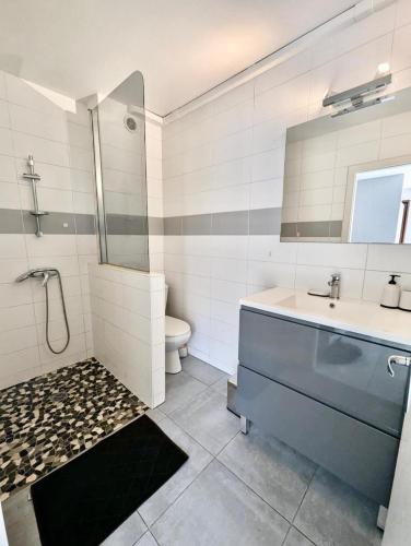 une salle de bain avec une douche, un lavabo et des toilettes dans l'établissement Charmant studio à Montbéliard, à Montbéliard