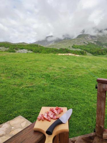 a cutting board with a knife on a field at Cottage Forest Hill in Žabljak