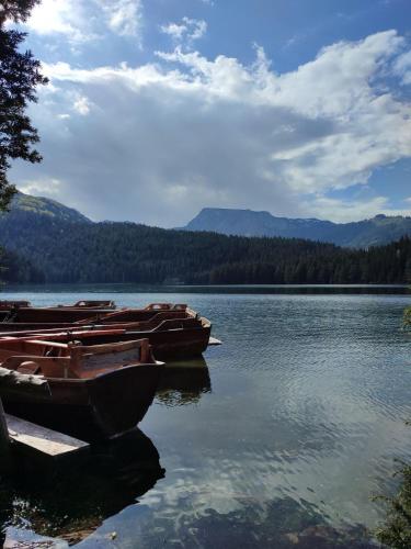 a group of boats sitting on a lake at Cottage Forest Hill in Žabljak
