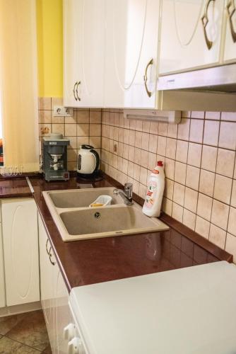 a kitchen with a sink and a counter top at Gesztenye Apartman in Makó