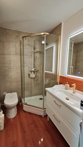 a bathroom with a shower and a toilet and a sink at Le gîte de Varanges in Givry