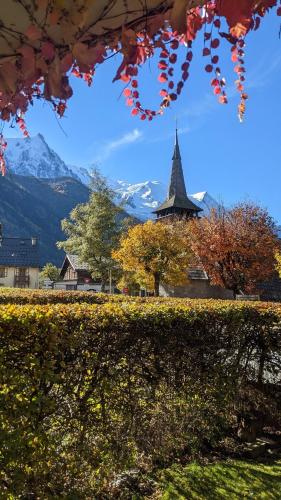 Bright, warm 2BR 2min to gondola, private garden