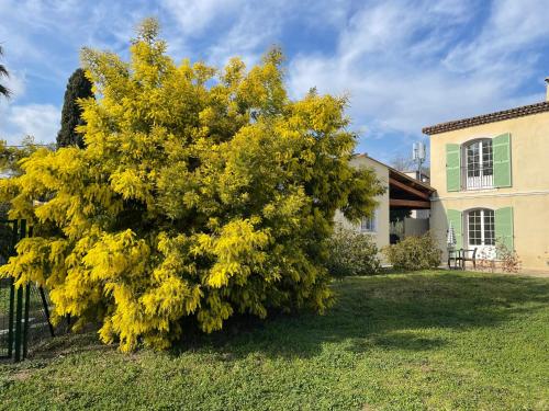 Chambre d'hôtes "La Bastide des Eucalyptus" photo 26
